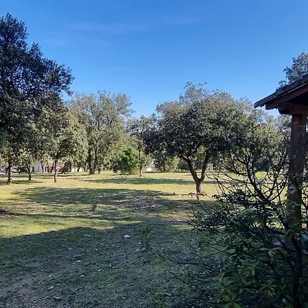 Maisonnette Sous Les Chenes Gard 30 Tatil Evi Sauve