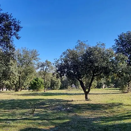 Maisonnette Sous Les Chenes Gard 30 *